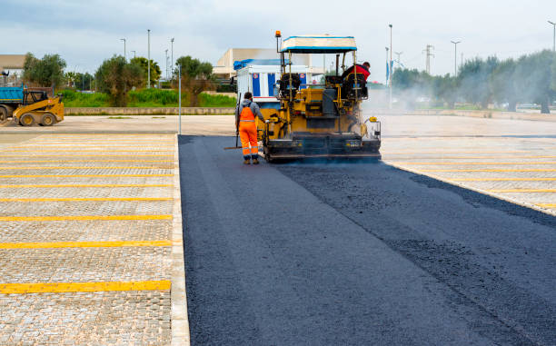 Best Driveway Pressure Washing  in Williamsport, IN